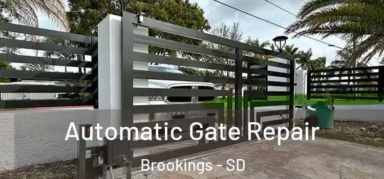 Automatic Gate Repair Brookings - SD
