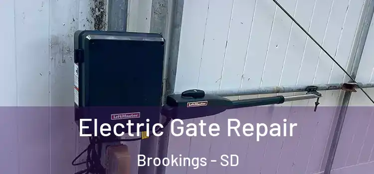 Electric Gate Repair Brookings - SD