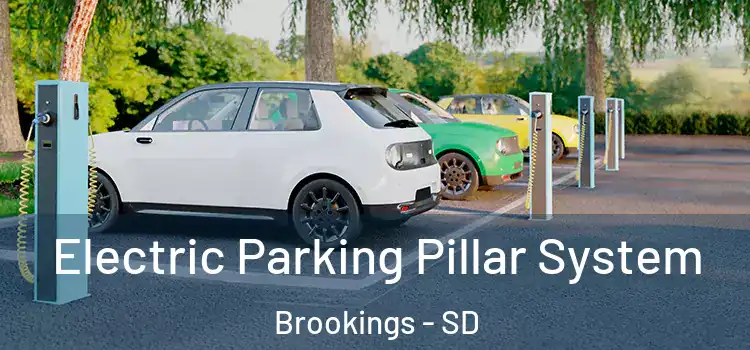 Electric Parking Pillar System Brookings - SD