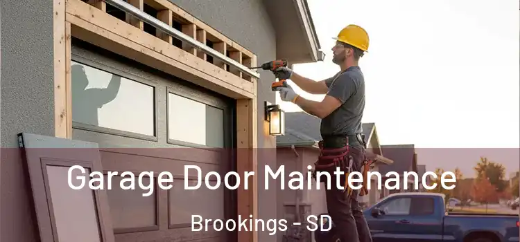 Garage Door Maintenance Brookings - SD