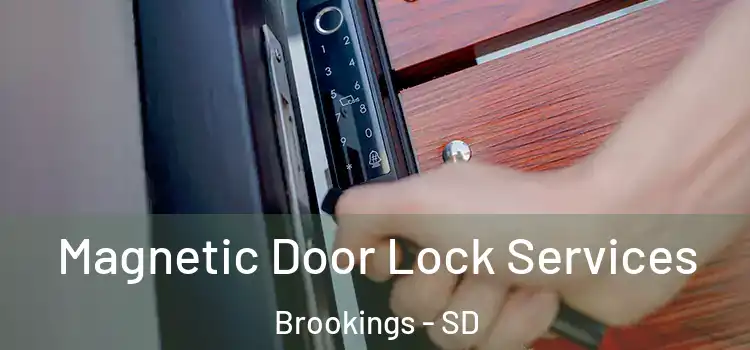 Magnetic Door Lock Services Brookings - SD