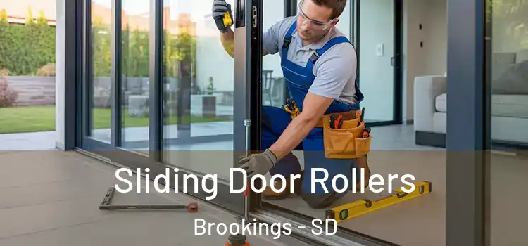 Sliding Door Rollers Brookings - SD